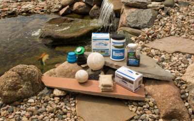 How to Prevent Excess Nutrients and Algae in Your Pond
