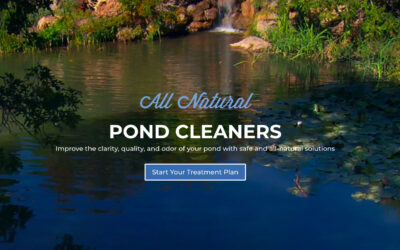 Healthy Ponds® By Bioverse Has New Look, Same Great Products