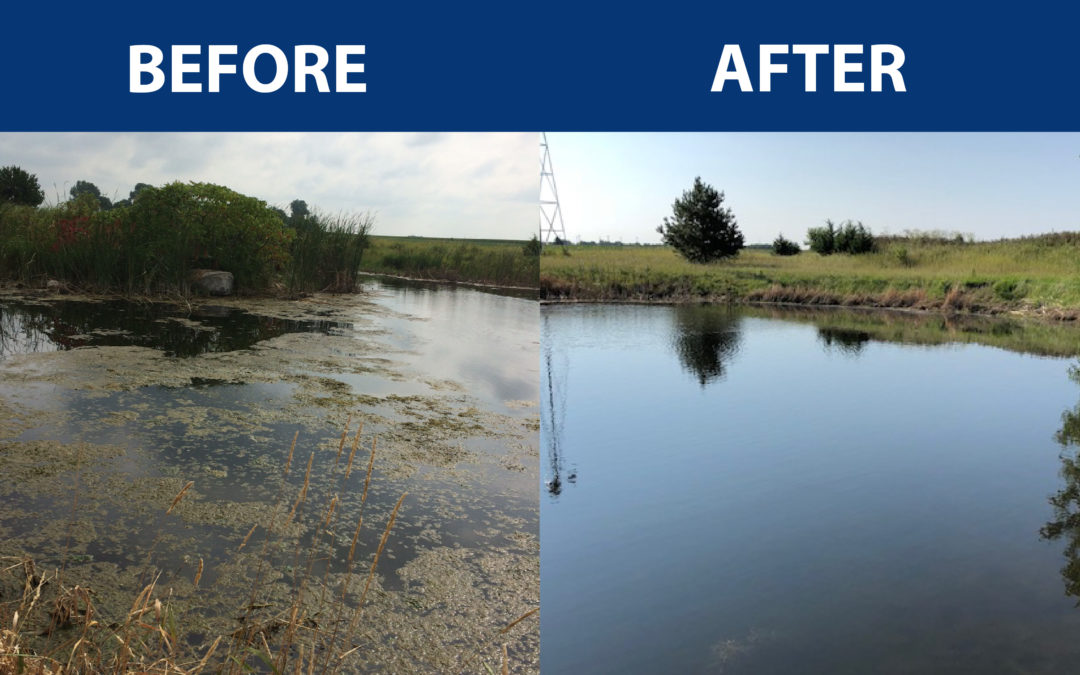before and after wilmont pond