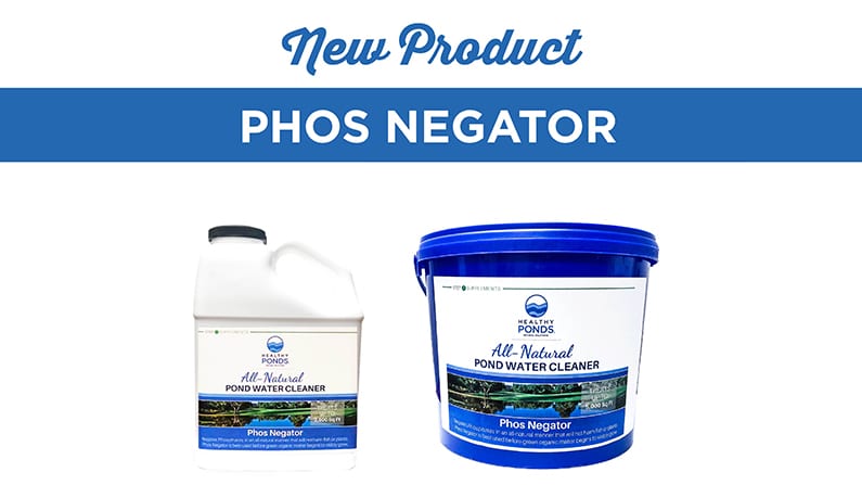 What To Do When You Find Phosphorus In Your Pond Healthy Ponds