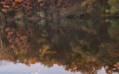 Fall Pond Prep