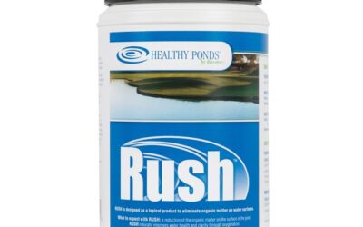 Clean Ponds Naturally With Healthy Ponds RUSH