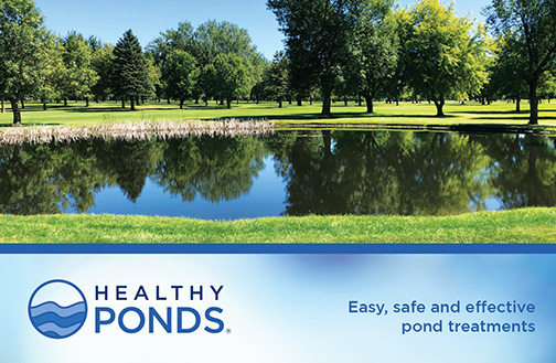 Pond Cleaner Products: Maintain A Healthy Pond