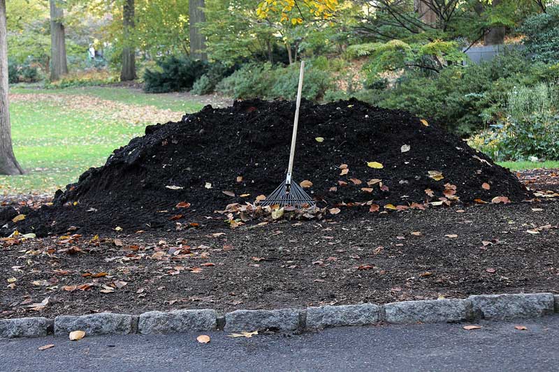 Compost Activator: Create Healthy Compost Faster