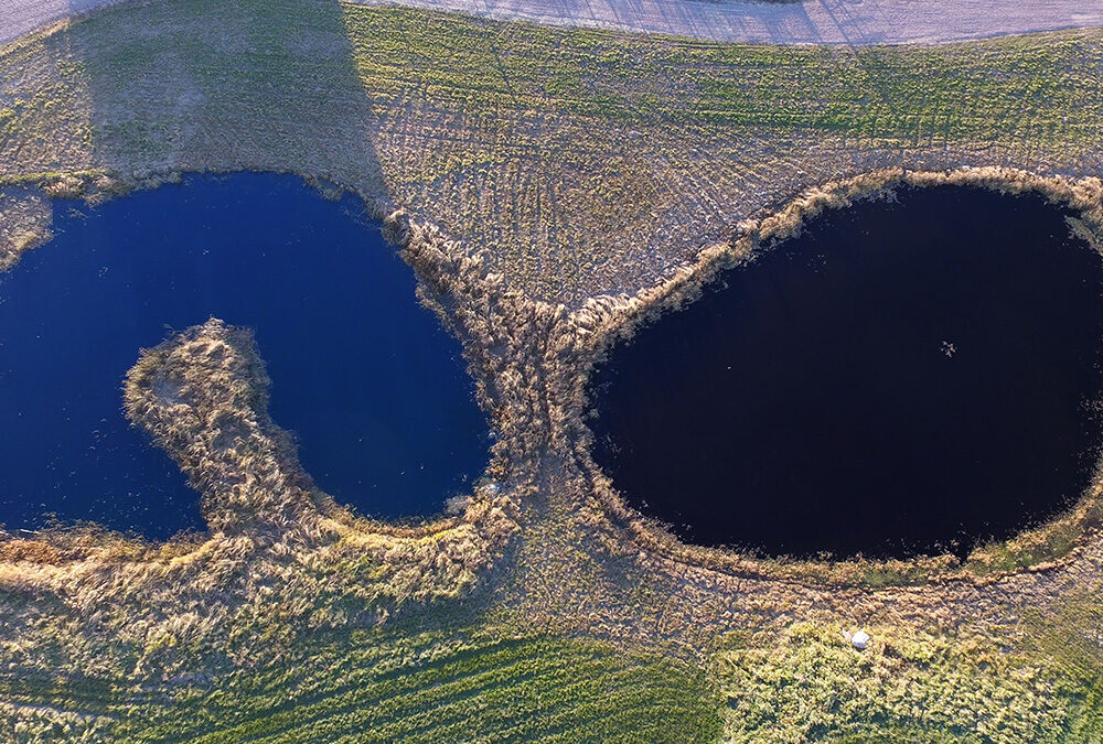Image of a Pond
