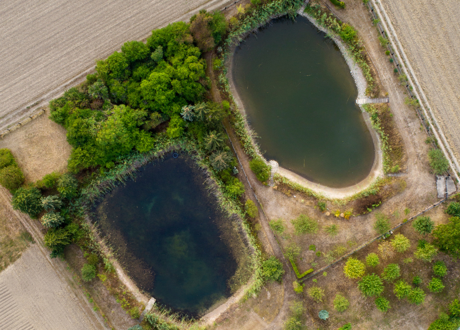 View from Above: A Serene Pond Reflecting Nature's Beauty